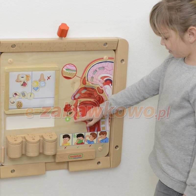 MASTERKIDZ-Tablica-Edukacyjna-Zmysl-Wechu (1)