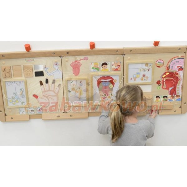 MASTERKIDZ-Tablica-Edukacyjna-Zmysl-Wechu